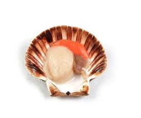 VIEIRA LIMPIA FRESCA X KG AL VACIO