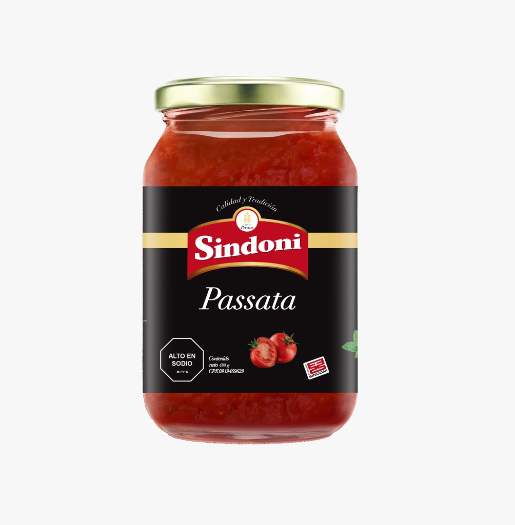 PASSATA SINDONI 480GR