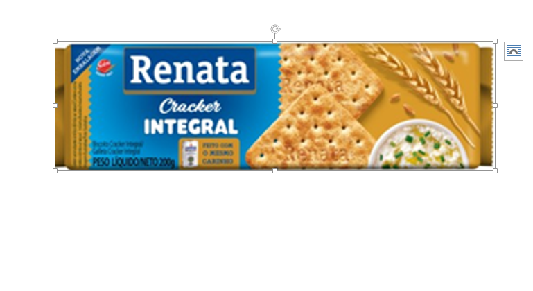 GALLETA RENATA 170GR INTEGRAL CRACKER