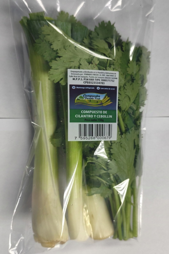 COMPUESTO DE CILATRO Y CEBOLLIN PARADIS FRESH 150GR