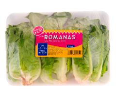 LECHUGA MINI ROMANA FINCA DOS AGUAS 3UND