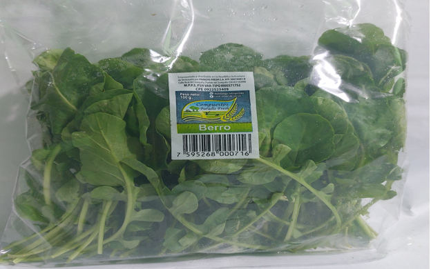 VAINITA ANCHA PARADIS FRESH 300GR 