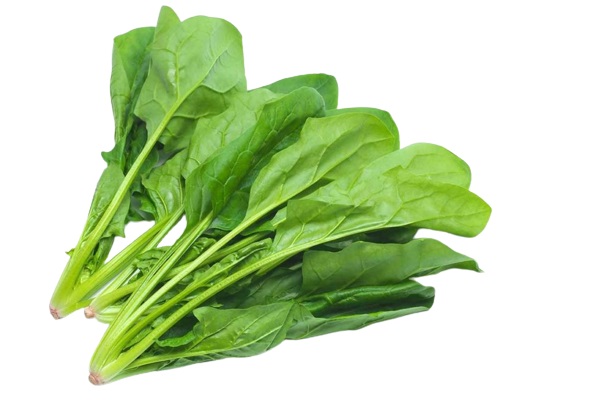 ESPINACA X KG
