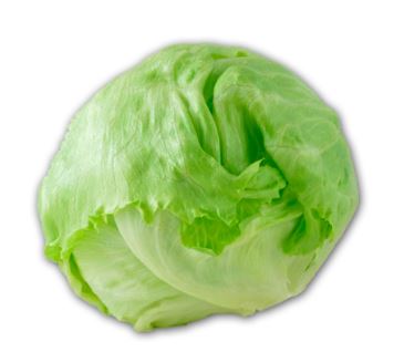 LECHUGA AMERICANA X KG
