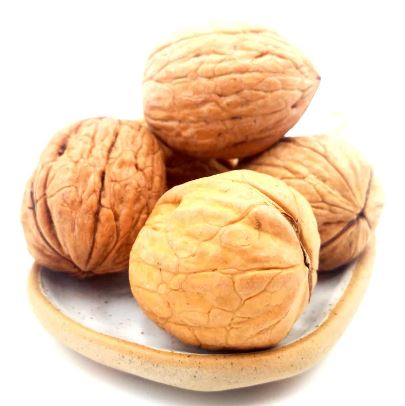 NUECES CON CONCHA X KG