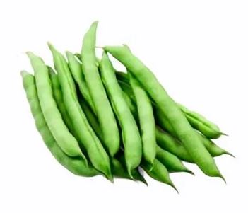 VAINITA CRIOLLA X KG