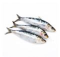 SARDINAS ENTERAS X KG