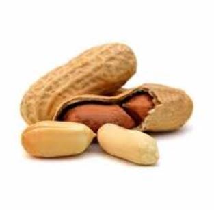 MANI CON CONCHA X KG