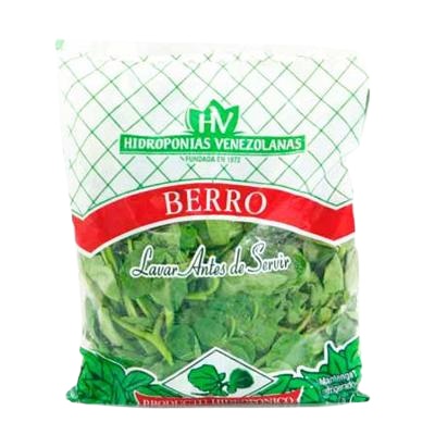 BERRO HIDROPONIAS 100GR EN BOLSA