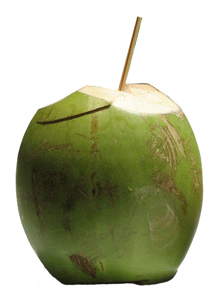 COCO DE AGUA