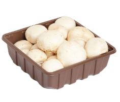 HONGO FRESCO STO.DOMINGO 300GR