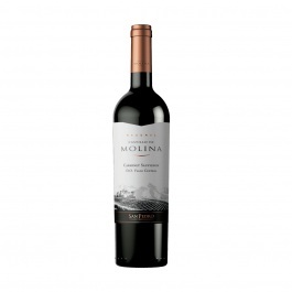 VINO CASTILLO MOLINA 0.75LT CABERNET RSV