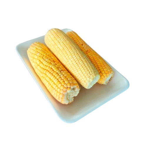 MAIZ CRIOLLO PLANSUAREZ X UND