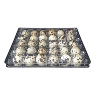 HUEVOS DE CODORNIZ 30UND