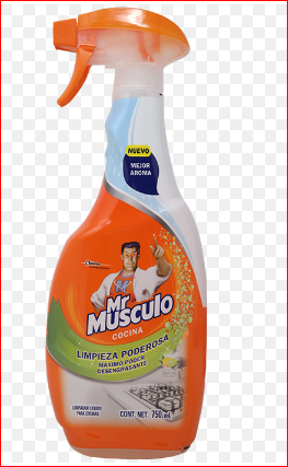 DESENGRASANTE MR MUSCULO 750ML LIMON GAT