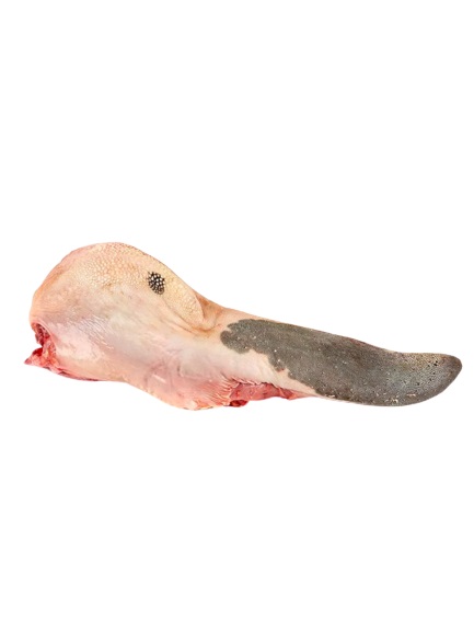 LENGUA DE RES X KG