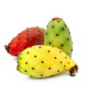 TUNAS X KG