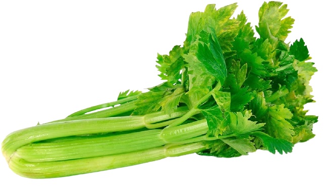 HOJAS DE CELERY X KG PLANSUAREZ